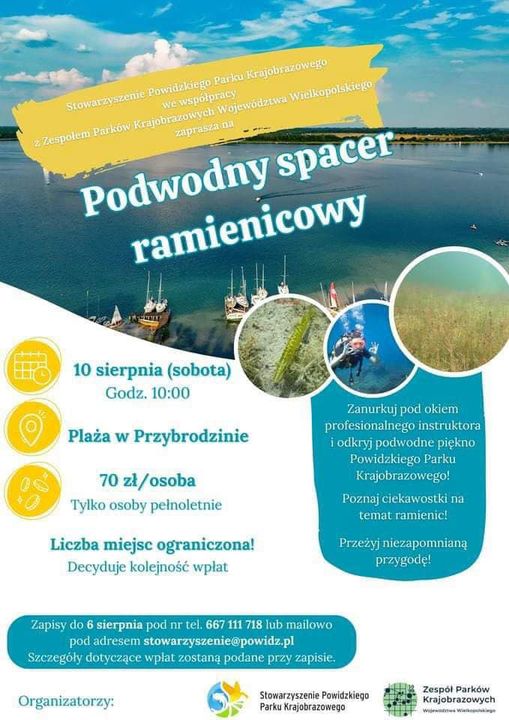 Podwodny spacer ramienicowy