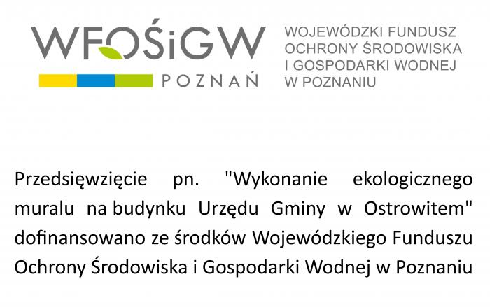 Informacja o realizowanym projekcie